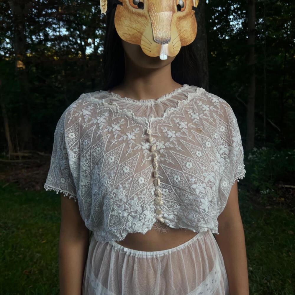 Antique Sheer Embroidered Net Lace Ensemble - image 7